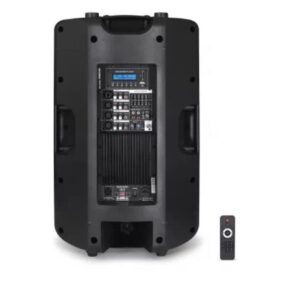 PANTALLA AMPLIFICADA 180W 15