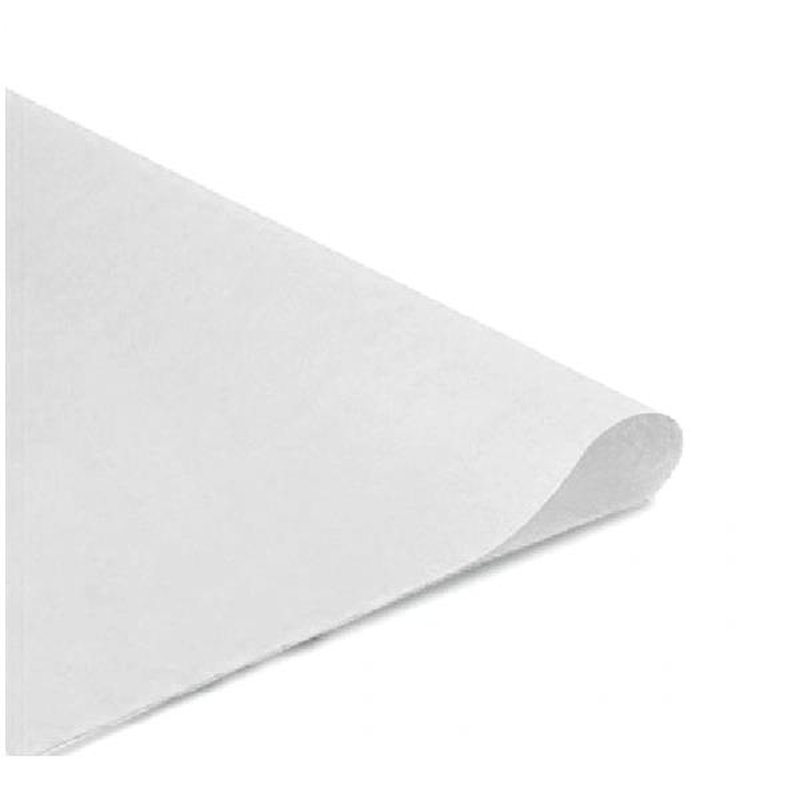 PAPEL MANILA BLAN 62X86CM PAQ 50 PAPEL MANILA BLAN 62X86CM PAQ 50