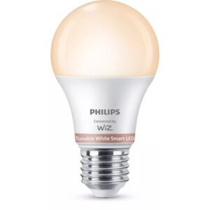 Philips Bombilla 60 W A60 E27 x2
