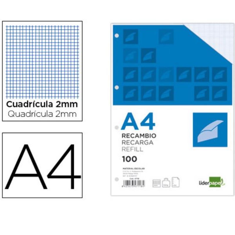 REC A4 100H 100G/M2 CUAD 2 MG 4T REC A4 100H 100G/M2 CUAD 2 MG 4T