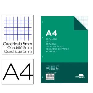 REC A4 100H 100G/M2 CUAD 5 MG 4T