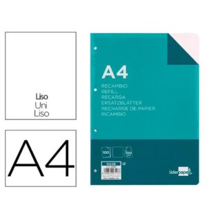 REC A4 100H 100G/M2 SINMG 4T