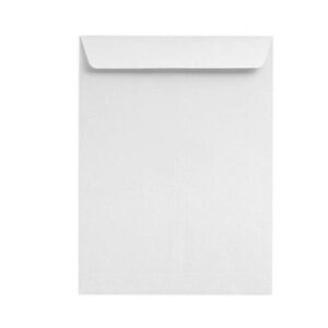 SOBRE N.8 BLA 229X324 SILI 250U