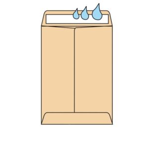 SOB N.0 CEL CA A SAL 100X145 100