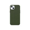 Symmetry Cactus Leather iPhone 15PlusGRN