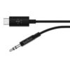 USB-C to 3.5 mm Audio Cable