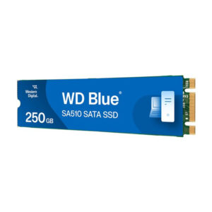 250GB BLUE SSD M.2 SA510 2280 INT