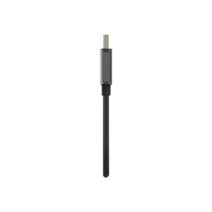 Belkin AVC011btSGY-BL 0,22 m DisplayPort HDMI Negro