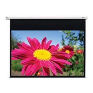 DE-1095EGA/Electr pull down screen 16:10