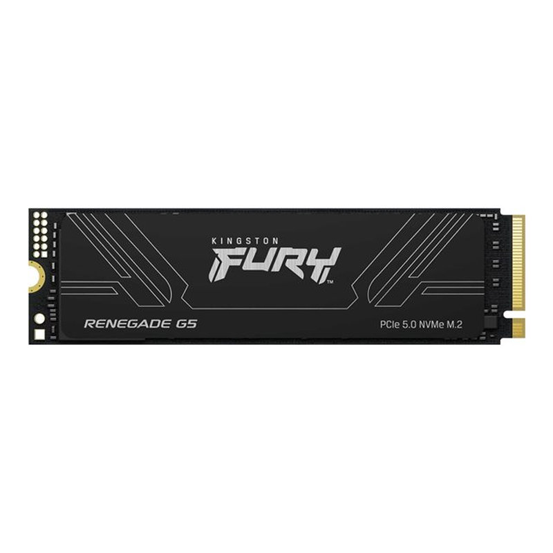 Kingston Technology 2T FURY RENEGADE G5 M.2 2280 NVMe SSD