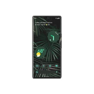 OtterBox CP Film Google Pixel 6 Pro CLR