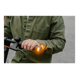 Segway Ninebot KickScooter F2 PRO E