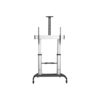 StarTech.com Soporte Móvil de TV - Carrito de TV de Servicio Pesado para Pantallas de 60 a 100 Pulgadas - 100kg - Soporte Universal Rodante de Piso con Altura Ajustable - con Ruedas - para Televisor (STNDMTV100)