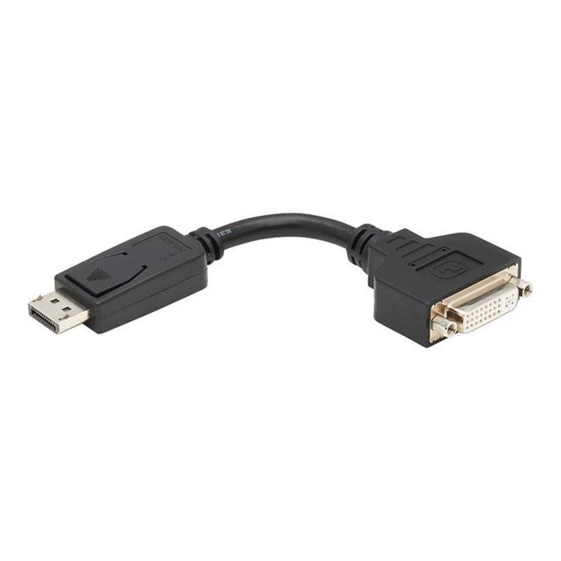 Tripp Lite P134-000 Adaptador de Cable DisplayPort a DVI, Convertidor para DP-M a DVI-I-F, 15.2 cm [6 Pulgadas] - Imagen 3