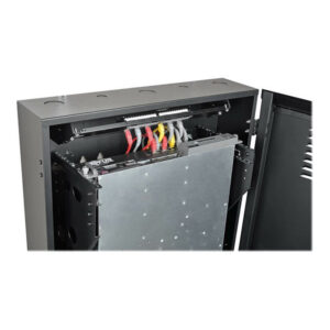Tripp Lite SRWF6U Gabinete Smartrack de 6U de Bajo Perfil, de Profundidad de Switch para Instalación Vertical en Pared