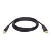 Tripp Lite U022-006 Cable USB 2.0 A/B (M/M), 1.83 m [6 pies]