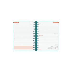 AGENDA ESCOLAR 2025-2026 CURSO COSMO 4º 155X212 1DIA PAGINA AQUA+ FINOCAM 537070426 AGENDA ESCOLAR 2025-2026 CURSO COSMO 4º 155X212 1DIA PAGINA AQUA+ FINOCAM 537070426