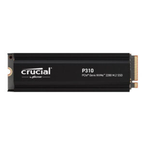 P310 4TB PCIe G42280 NVMe M.2 w heatsink
