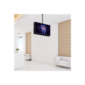 StarTech.com Soporte de Techo para 2 TV - Soporte VESA de Colgar de Alta Resistencia para 2 Pantallas de 32" a 75" - Poste Telescópico Ajustable de 1,06m a 1,52m Inclinación/Giro/Rotación StarTech.com Soporte de Techo para 2 TV - Soporte VESA de Colgar de Alta Resistencia para 2 Pantallas de 32" a 75" - Poste Telescópico Ajustable de 1,06m a 1,52m Inclinación/Giro/Rotación