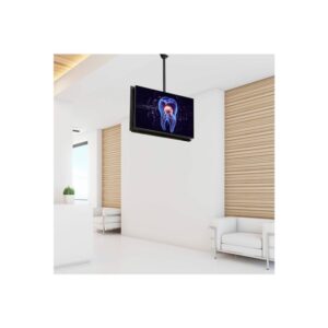 StarTech.com Soporte de Techo para 2 TV - Soporte VESA de Colgar de Alta Resistencia para 2 Pantallas de 32" a 75" - Poste Telescópico Ajustable de 1,06m a 1,52m Inclinación/Giro/Rotación StarTech.com Soporte de Techo para 2 TV - Soporte VESA de Colgar de Alta Resistencia para 2 Pantallas de 32" a 75" - Poste Telescópico Ajustable de 1,06m a 1,52m Inclinación/Giro/Rotación