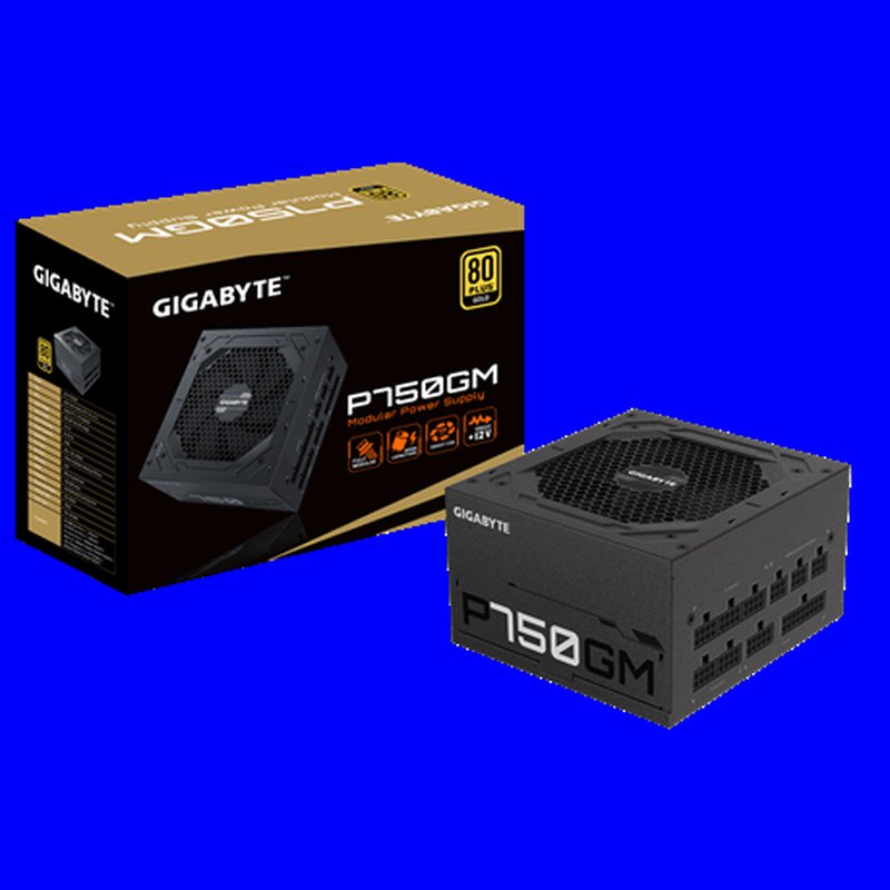Gigabyte P750GM unidad de fuente de alimentación 750 W 20+4 pin ATX ATX Negro - Imagen 7