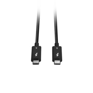 Lindy 31130 cable Thunderbolt 1 m 80 Gbit/s Negro Lindy 31130 cable Thunderbolt 1 m 80 Gbit/s Negro