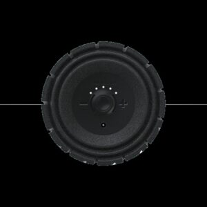 Theragun Roller masajeador Universal Negro