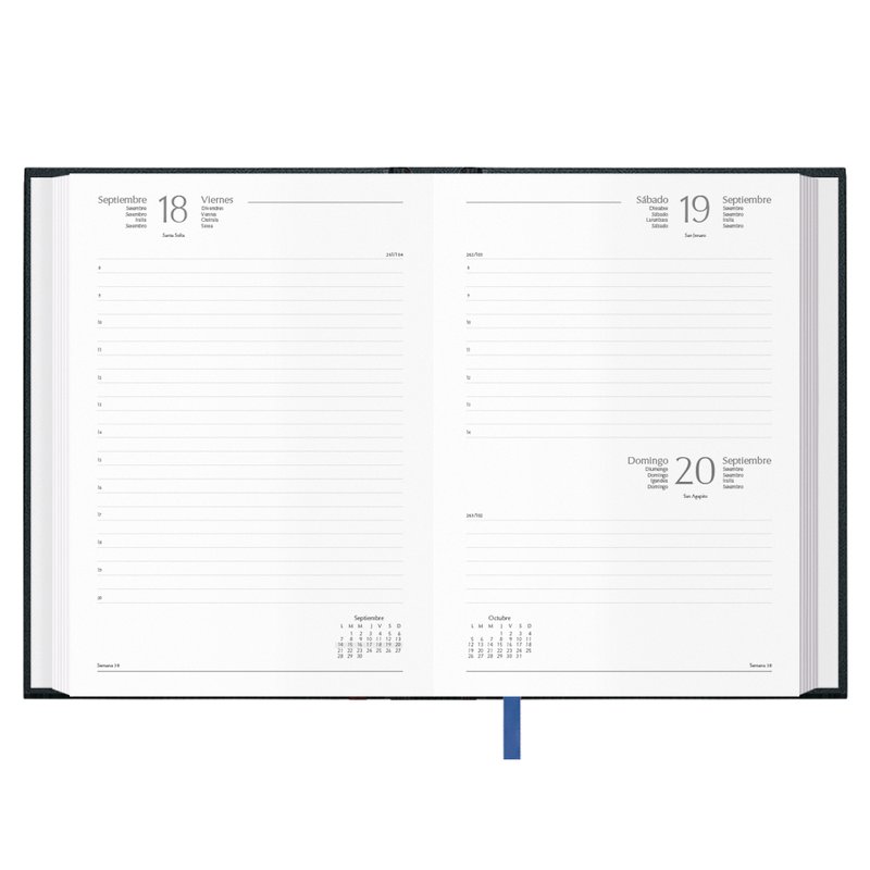 AGENDA 2026 SEGOVIA DÍA PÁGINA 17 X 24 CM. COLOR NEGRO DOHE 12865 - 26 AGENDA 2026 SEGOVIA DÍA PÁGINA 17 X 24 CM. COLOR NEGRO DOHE 12865 - 26 - Imagen 2
