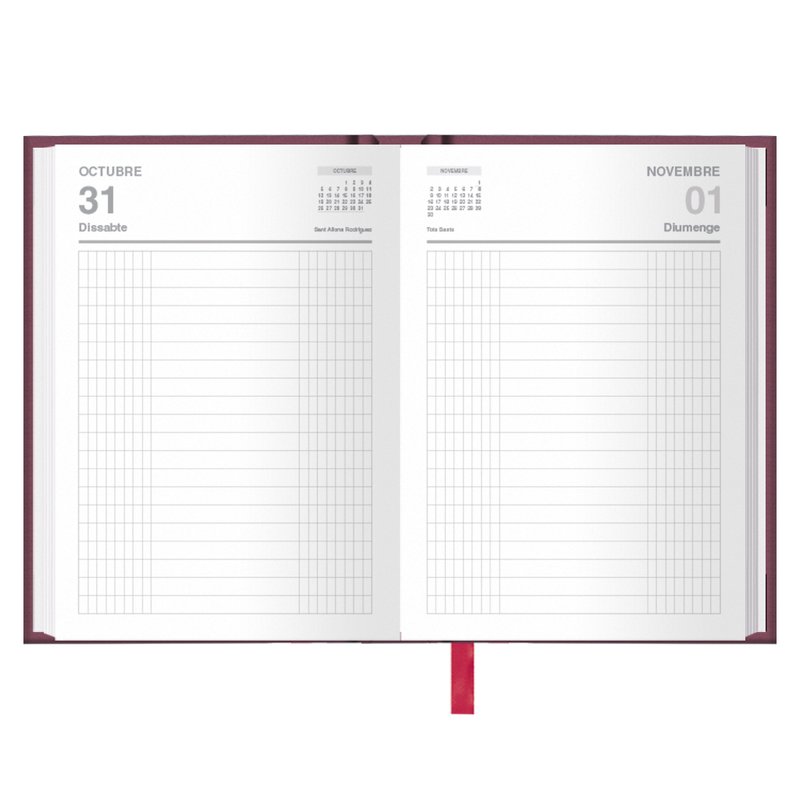 DIETARIO 2026 OCTAVO DÍA PÁGINA 11,5X16,5 CM. CATALÁN DOHE 11158 - 26