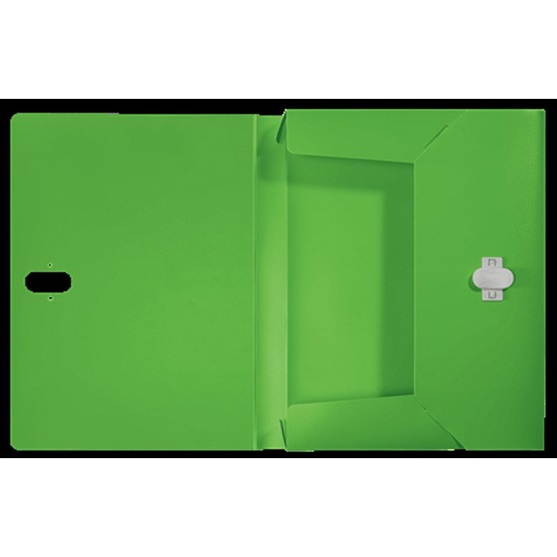 Leitz 46230055 caja archivador 250 hojas Verde Polipropileno (PP) Leitz 46230055 caja archivador 250 hojas Verde Polipropileno (PP) - Imagen 3