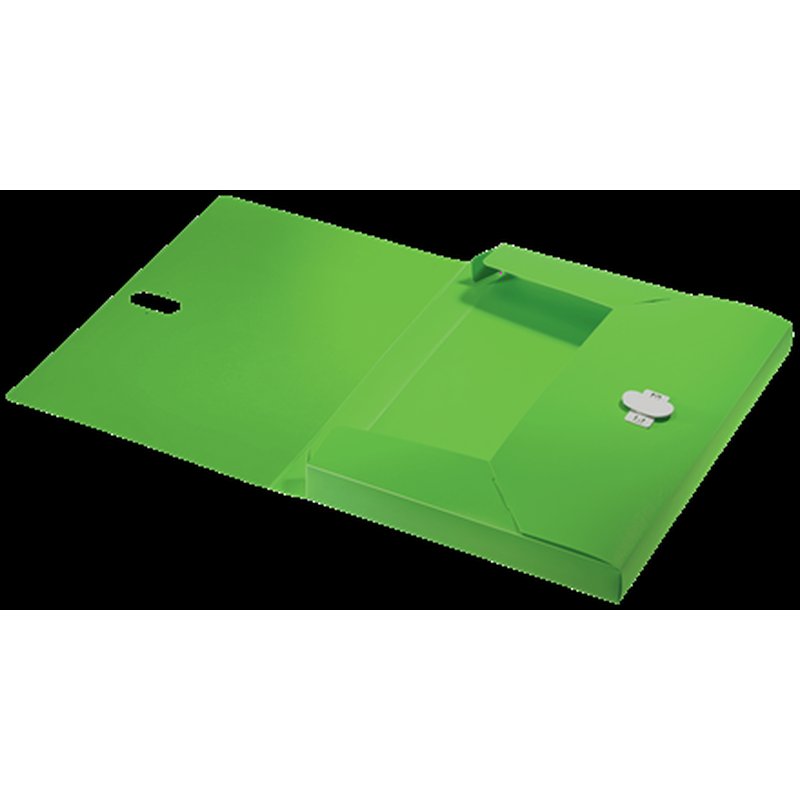 Leitz 46230055 caja archivador 250 hojas Verde Polipropileno (PP) Leitz 46230055 caja archivador 250 hojas Verde Polipropileno (PP) - Imagen 5