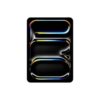 iPad Pro M4 11" Wifi 256GB SP Blk iPad Pro M4 11" Wifi 256GB SP Blk