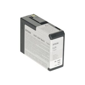 Epson Cartucho T580900 gris claro