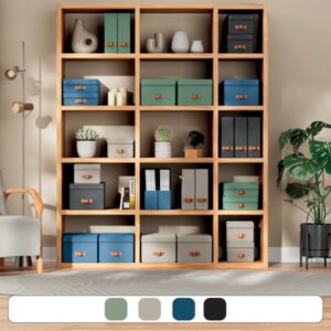 Leitz 61470095 archivador organizador Cartón Negro Leitz 61470095 archivador organizador Cartón Negro