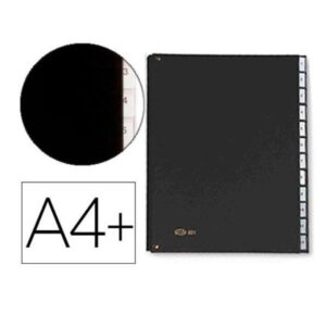 CARPETA CLASIFICADORA FUELLE PAR