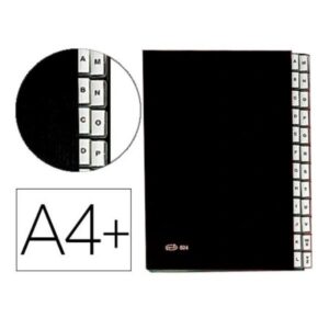 CARPETA CLASIFICADORA FUELLE PAR