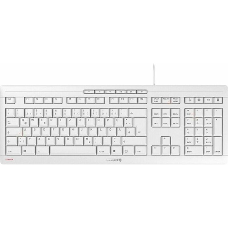 CHERRY STREAM KEYBOARD teclado USB QWERTZ Checa, Eslovaco Gris