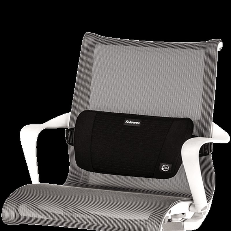 COJIN LUMBAR FOAM PLUSTOUCH COJIN LUMBAR FOAM PLUSTOUCH - Imagen 2