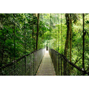 HP EliteBook 6 G1ah AMD Ryzen™ 5 220 Portátil 35,6 cm (14") WUXGA 16 GB DDR5-SDRAM 512 GB SSD Wi-Fi 6E (802.11ax) Windows 11 Pro AI PC Plata