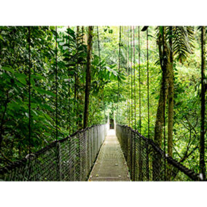 HP EliteBook 6 G1ah AMD Ryzen™ 5 220 Portátil 35,6 cm (14") WUXGA 16 GB DDR5-SDRAM 512 GB SSD Wi-Fi 6E (802.11ax) Windows 11 Pro AI PC Plata