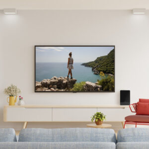 Hama Pro antena de televisión Interior