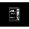 Lexar SDXC, 256 GB UHS-II Clase 10