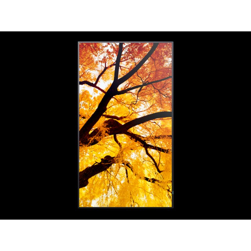 Sharp MultiSync M322 Pantalla plana para señalización digital 81,3 cm (32") LCD 550 cd / m² Full HD Negro Sharp MultiSync M322 Pantalla plana para señalización digital 81,3 cm (32") LCD 550 cd / m² Full HD Negro - Imagen 7