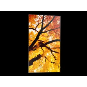 Sharp MultiSync M322 Pantalla plana para señalización digital 81,3 cm (32") LCD 550 cd / m² Full HD Negro Sharp MultiSync M322 Pantalla plana para señalización digital 81,3 cm (32") LCD 550 cd / m² Full HD Negro