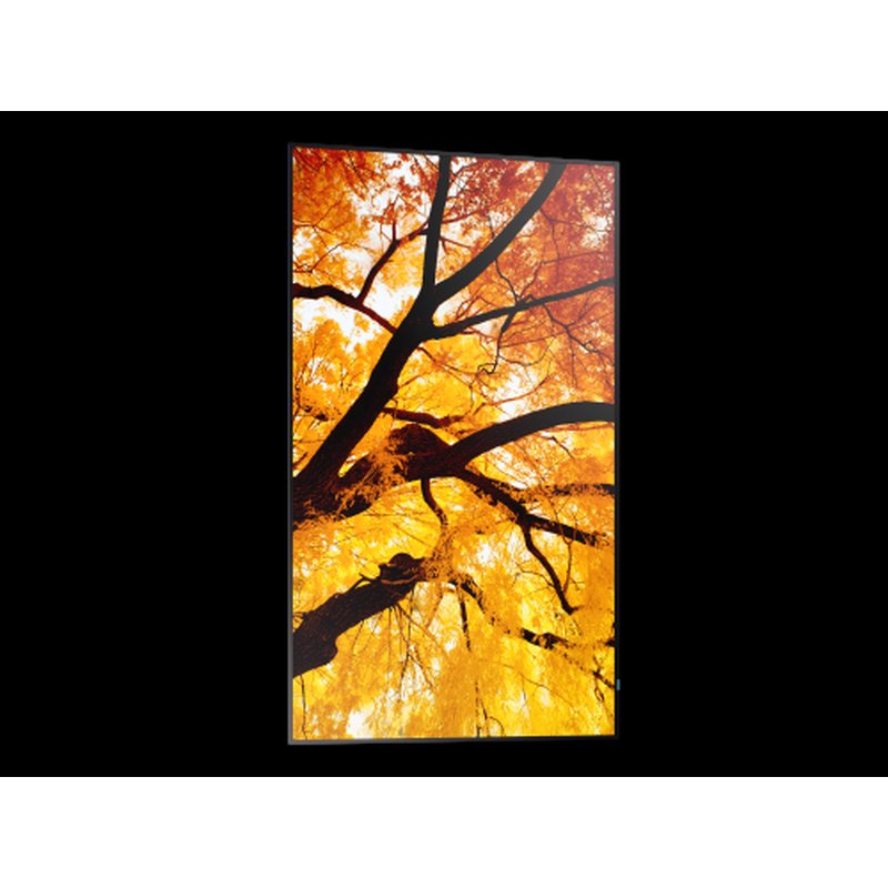 Sharp MultiSync M322 Pantalla plana para señalización digital 81,3 cm (32") LCD 550 cd / m² Full HD Negro Sharp MultiSync M322 Pantalla plana para señalización digital 81,3 cm (32") LCD 550 cd / m² Full HD Negro - Imagen 9