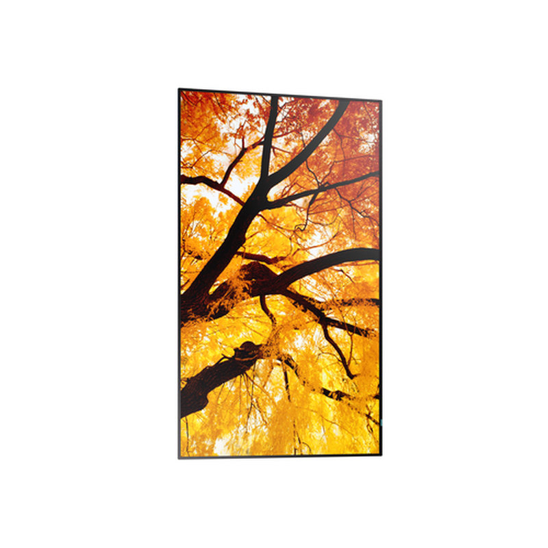 Sharp MultiSync M502 Pantalla plana para señalización digital 127 cm (50") LCD 550 cd / m² 4K Ultra HD Negro 24/7 - Imagen 4