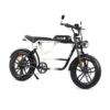 YOUIN E-BIKE URBAN STYLE FAT 2