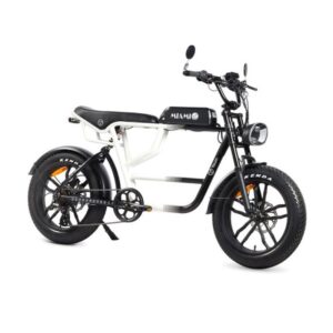 YOUIN E-BIKE URBAN STYLE FAT 2