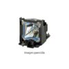 BENQ PROYECTOR ACCESORIOS  (5J.JNL05.001) LAMP MODULE TK70