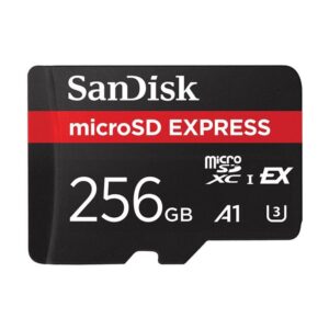 Express microSD Card 256GB 880MB/s Read